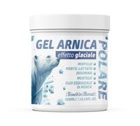 Gel Arnica Polare Gel con Effetto Glaciale 550ml 550 ml