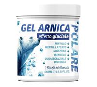 Gel Arnica Polare 550 ml - Effetto Glaciale con 5% di Mentolo, Diosmina e Olio di Menta - Allevia Muscoli Affaticati e Gambe Stanche - Made in Italy