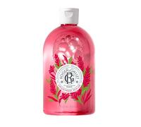 Gel Douche Bienfaisant Gingembre Rouge 500 ml