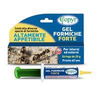 Gel Formiche Forte Siringa Insetticida Antiformiche Pronta all Uso contro