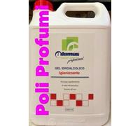 Gel Idroalcolico Igenizzante Domus detergents professional litri 5 a base idroal