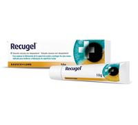GEL OCULARE OCCHI SECCHI IRRITATI DEXPANTENOL 10G RECUGEL GEL OFTALMICO LUBRIFIC