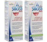 Gel Silicea Per Herpes Labiale Hubner 2x2 g