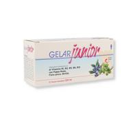 Gelarjunior 12 Fiale da 10 Ml