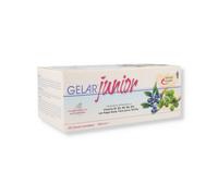 Gelarjunior 28 Fiale da 10 Ml