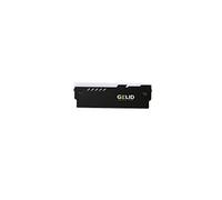 Gelid Solution - Kit di raffreddamento per memoria RAM Lumen RGB, 2 pezzi, modalità RGB completamente automatica, dissipatore di calore a doppio lato, nero