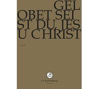 Gelobt seist du, Jesus Christ (J.S. Bach-Stiftung) (DVD) J.S. Bach-Stiftung