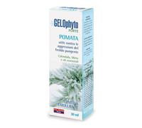 Vital Factors Italia Gelophyto Ft Pomata 30ml
