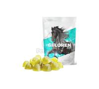 Geloren HA mangime complementare per cavalli 450 g (60 pz cubetti di gelatina)