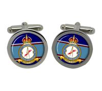 Gemelli 116 Squadron RAF In Scatola