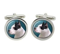 Gemelli American Pit Bull Terrier In Scatola In Chrome