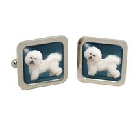 Gemelli Bichon Frise In Acciaio Cromato In Scatola