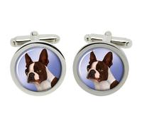 GEMELLI Boston Terrier In Scatola Cromata