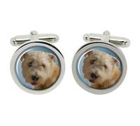 Gemelli Glen of Imaal Terrier In Scatola In Chrome