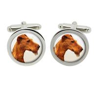 Gemelli Irish Terrier In Scatola In Cromatura