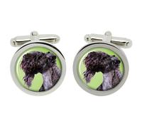 Gemelli Kerry Blue Terrier In Scatola Cromata