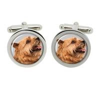 Gemelli Norwich Terrier In Scatola Cromo In Scatola