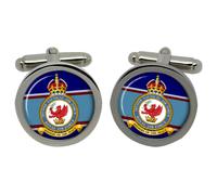 Gemelli RAF Cufflinks 2nd Tactical Air Force, In Scatola