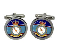 Gemelli RAF Del Queen's Colour Squadron In Scatola