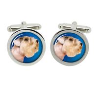 Gemelli Sealyham Terrier In Scatola Cromata In Scatola Di Chrome