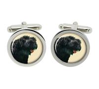 Gemelli Terrier Nero Russo In Scatola Cromata