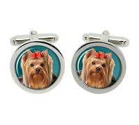 Gemelli Yorksh ire Terrier In Scatola Cromata