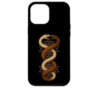 Gemello serpente Sri Yantra Sacra Geometria Simbolo Arte Custodia per iPhone 12 Pro Max
