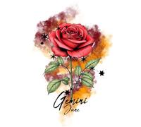 Gemini in June Rose Guided Journal: Plant Your Intentions, Cultivate Your Dreams, Bloom Boldly