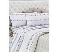 GEMITEX Completo Letto Cotone In, 100% COTONE, Traspirante, Privo di Sostanze Nocive, Qualità Certificata STANDARD 100 by OEKO-TEX Fiducia nel Tessile, SINGOLO, G20/TORTOTA, Designed in Italy