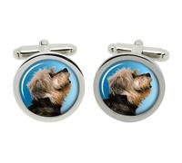 Gemme Gemelli Dandie Dinmont Terrier In Scatola Cromata In Scatola