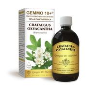 Dr Giorgini GEMMO 10+ BIANCOSPINO Gemmoderivato Concentrato Liquido Analcoolico - 500 ml