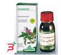 GEMMOSOL 15 CARPINO 50ML MG