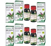 Gemmosol 36 Ribes Nero 50Ml 2x50 ml Soluzione orale