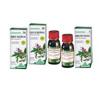 Mirtillo Rosso 1 DH Gemme 50ml