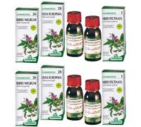 Gemmosol Linfa di Betulla 2x50 ml