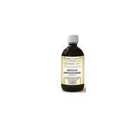 Gemoo 10+ Gemmoderivato Concentrato Ippocastano Liquido Analcolico Aes