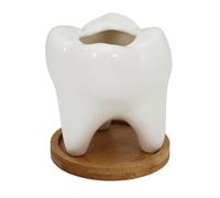 Gemseek Cute Tooth Succulent Planter Pot with Drainage Tray White Ceramic Cactus Flower Container Small Indoor Air Plant Holder for Dental Office De