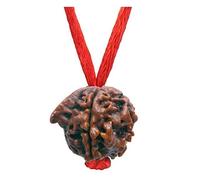 Gemsonclick Scegli Il Tuo Rudraksha Nepalese Certificato Naturale da 1 a 13 Mukhi Ganesh Gauri Shankar Ciondolo Semplice con Filo Rosso Shiva Astrologia Gioielli per Uomo Donna