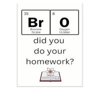 Gen Z Humor Science Poster Bro Did You Do Your Homework Funny Classroom Decor for Back to School Teachers(Framed,12x18inch(30x45cm))
