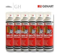 GENART - 6 X QUICK START SPRAY PRONTA ACCENSIONE RAPIDA / EDERA STARTER