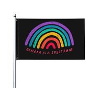 Gender Is A Spectrum Flag Lgbtqia+ Arcobaleno Gay Pride Month Lesbiche Lgbt Lgbtq Non riesco nemmeno a pensare dritto Bandiera 9,1 x 1,5 m con occhiello in metallo Bandiere Banner Cartello da giardin