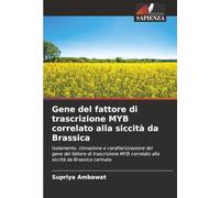 Gene del fattore di trascrizione MYB correlato alla siccità da Brassica: Isolamento, clonazione e caratterizzazione del gene del fattore di trascrizione MYB correlato alla siccità da Brassica carinata