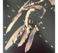 Generator (30Th Anniversary E - Bad Religion (Vinile)