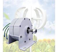 Generatore a Basso Numero di Giri da 10000 W - Alternatore brushless efficiente per Turbine eoliche, idrauliche e Motori Diesel, Alimentazione 12 V/24 V/48 V/110 V/220 V, Ideale per l'uso Fu