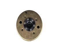 Generatore a bobina magneto-statore CC a 8 poli compatibile con cilindro magnetico for scooter WH100T100CC SCR100100CC GCC100100CC(Magnetic cylinder)