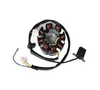 Generatore a bobina magneto-statore CC a 8 poli compatibile con cilindro magnetico for scooter WH100T100CC SCR100100CC GCC100100CC(Stator assembly)