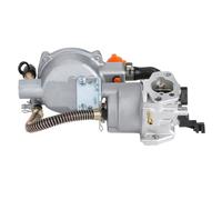 Generatore a Doppia Alimentazione Carbureto, Generatore a Carburatore a Doppia Alimentazione Carburatore a Doppia Alimentazione Carburatore con Starter Manuale, Kit di