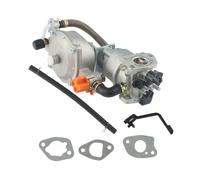 Generatore A Gasolina LPG168 Carburo In Metallo Generatore A Gas Liquido