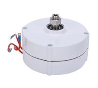 Generatore a Magneti Permanenti Alternatore CA Trifase 200W Generatore Elettrico di Grado Industriale in Terre Rare ad Alta Efficienza NdFeB per Impianto Idroelettrico a Turbina (Senza raddrizzatore