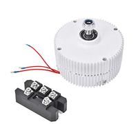 Generatore a magneti permanenti NE 30012V Alternatore sincrono trifase per impianti eolici - Componente di potenza industriale con intervallo di temperatura operativa da -40 a 80 (Motore 12V +